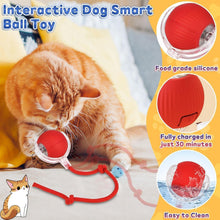 Rechargeable Interactive Cat Toy Ball with Detachable Braided Tail and LED Light (1 Pc)